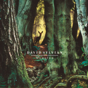 David Sylvian - Small Metal Gods