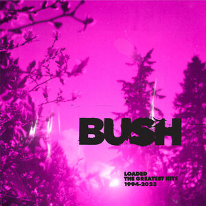 Bush - Swallowed