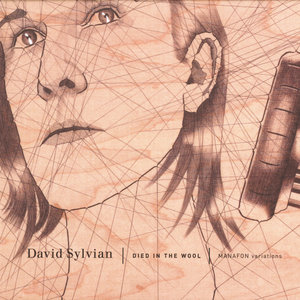 David Sylvian - Snow White In Appalachia