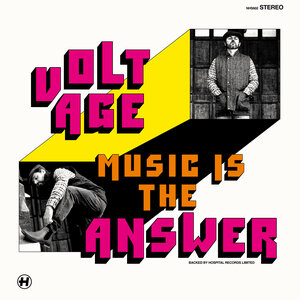 Voltage - Music Is The Answer