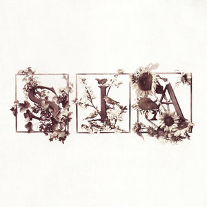 Sia - Numb