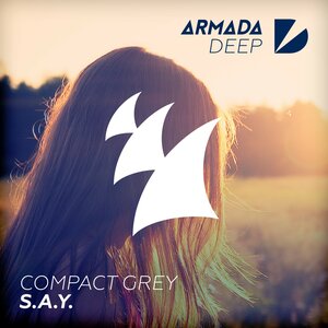 Compact Grey - S.A.Y.