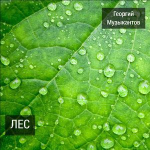 Георгий Музыкантов - Воскресение