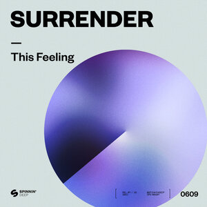 Surrender & Armand Van Helden & Steven A. Clark - This Feeling
