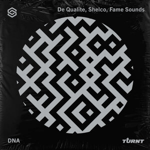 De Qualite & Shelco & FAME Sounds - DNA