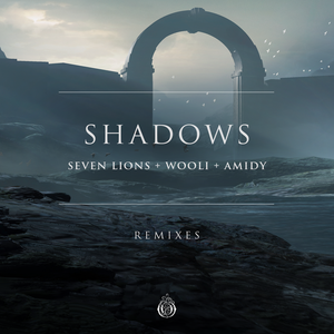 Seven Lions & Wooli & AMIDY - Shadows