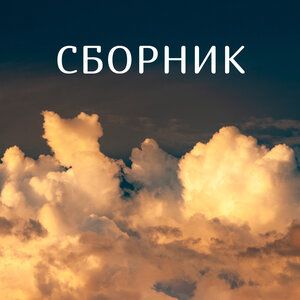 Владимир Хозяенко - Пуля