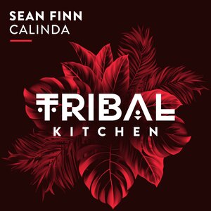 Sean Finn - Calinda