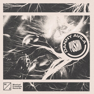 Danny Avila - Pushin