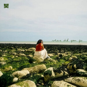 Pola & Bryson & DRIIA - Where Did You Go