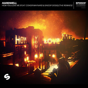 Hardwell & Conor Maynard & Snoop Dogg - How You Love Me