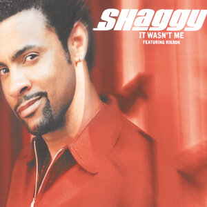 Shaggy & Ricardo Ducent - It Wasn't Me