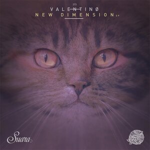 Valentinø - New Dimension