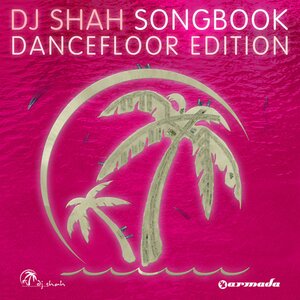 Dj Shah & Aruna - Now or Never
