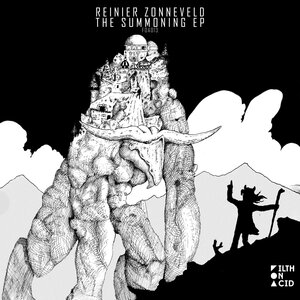 Reinier Zonneveld - Acid Incident