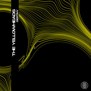 The YellowHeads - Destiny