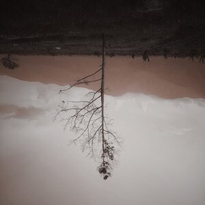 Oleg Byonic - A Week of Sundays