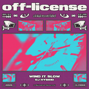 DJ Hybrid - Wind It Slow