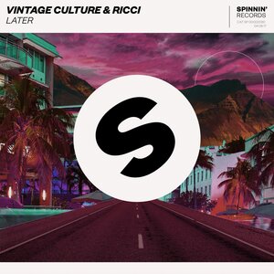Vintage Culture & Ricci - Later