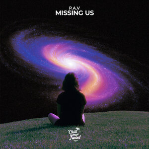 P.A.V - Missing Us
