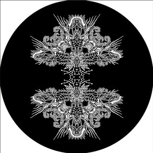 Operator (UK) - Branching