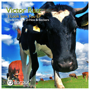 Victor Ruiz - I Look Into You