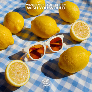 Wankelmut & James Hersey - Wish You Would