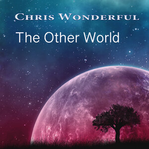 Chris Wonderful - The Anisotropic Universe