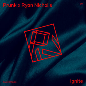 PRUNK & Ryan Nicholls - Belong