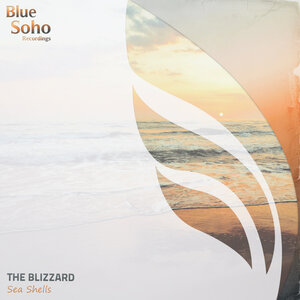 The Blizzard - Sea Shells