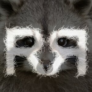 Ratchet Raccoon - The great gorilla bear war