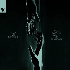 Tiga & MEDUZA - You Gonna Want Me (I Know)