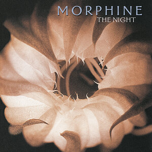 Morphine - Take Me With You