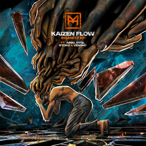 Kaizen Flow - Insanity