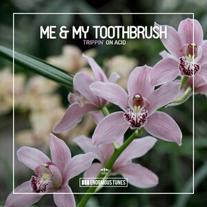 Me & My Toothbrush - Trippin' on Acid