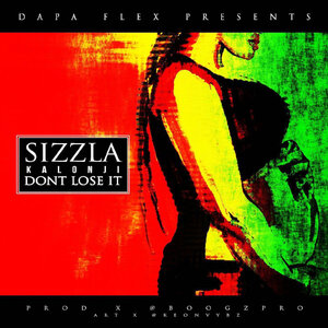 Sizzla & Boogz Pro - Don't Lose It