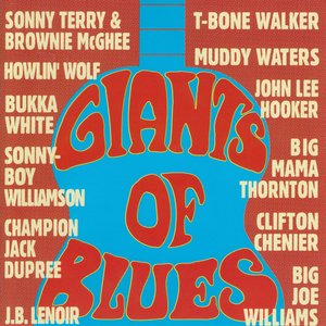Buddy Guy & Freddie Below & Lonesome Jimmy Lee - First Time I Met the Blues